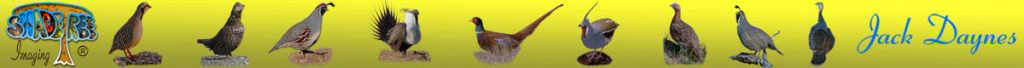 Gamebirds, Partridges, Grouse, Chuckar, Spruce Grouse, Gambel's Quail, Greater Sage Grouse, Common Pheasant, Mountain Quail, Willow Ptarmigan, California Quail, Wild Turkey