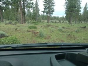 2016-05-07 Stuck In Modoc Mud (With a Poem)