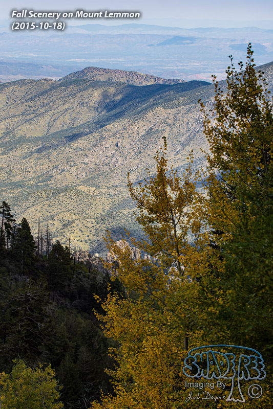 Fall Scenery on Mount Lemmon - n/a