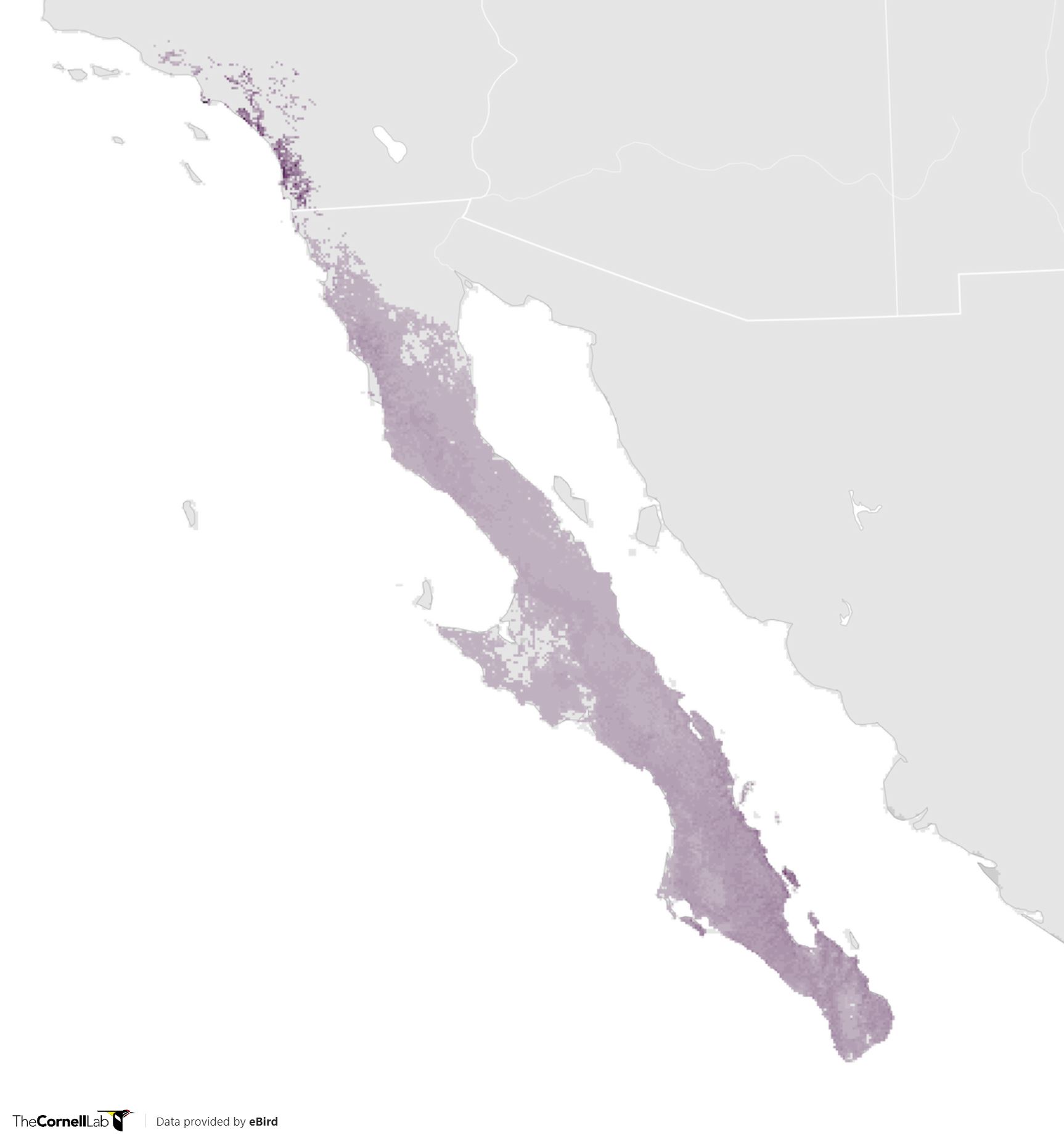 Range Map for California Gnatcatcher