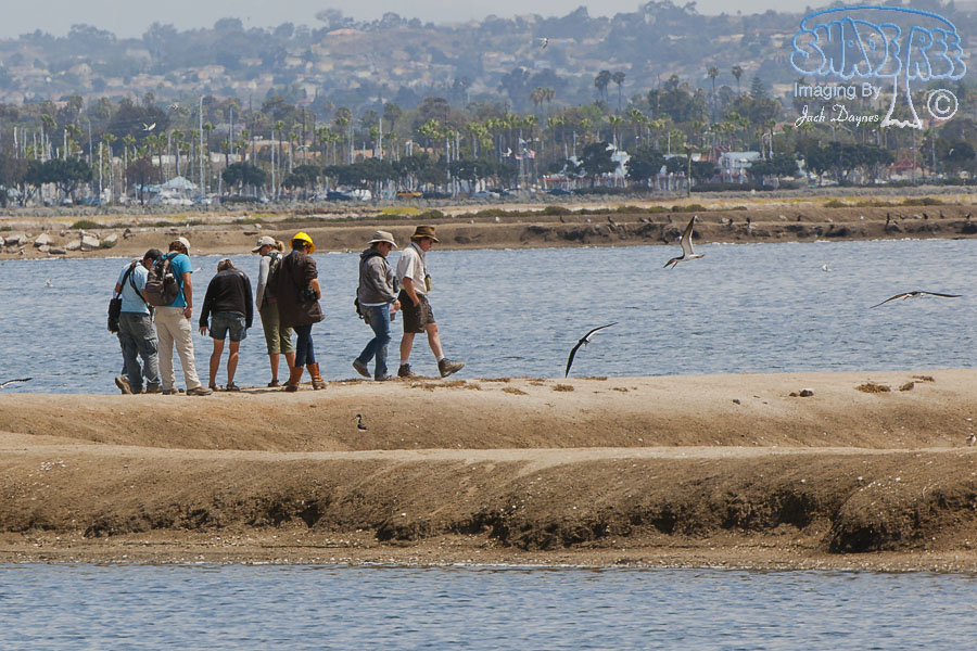 Biologists at Work - n/a
