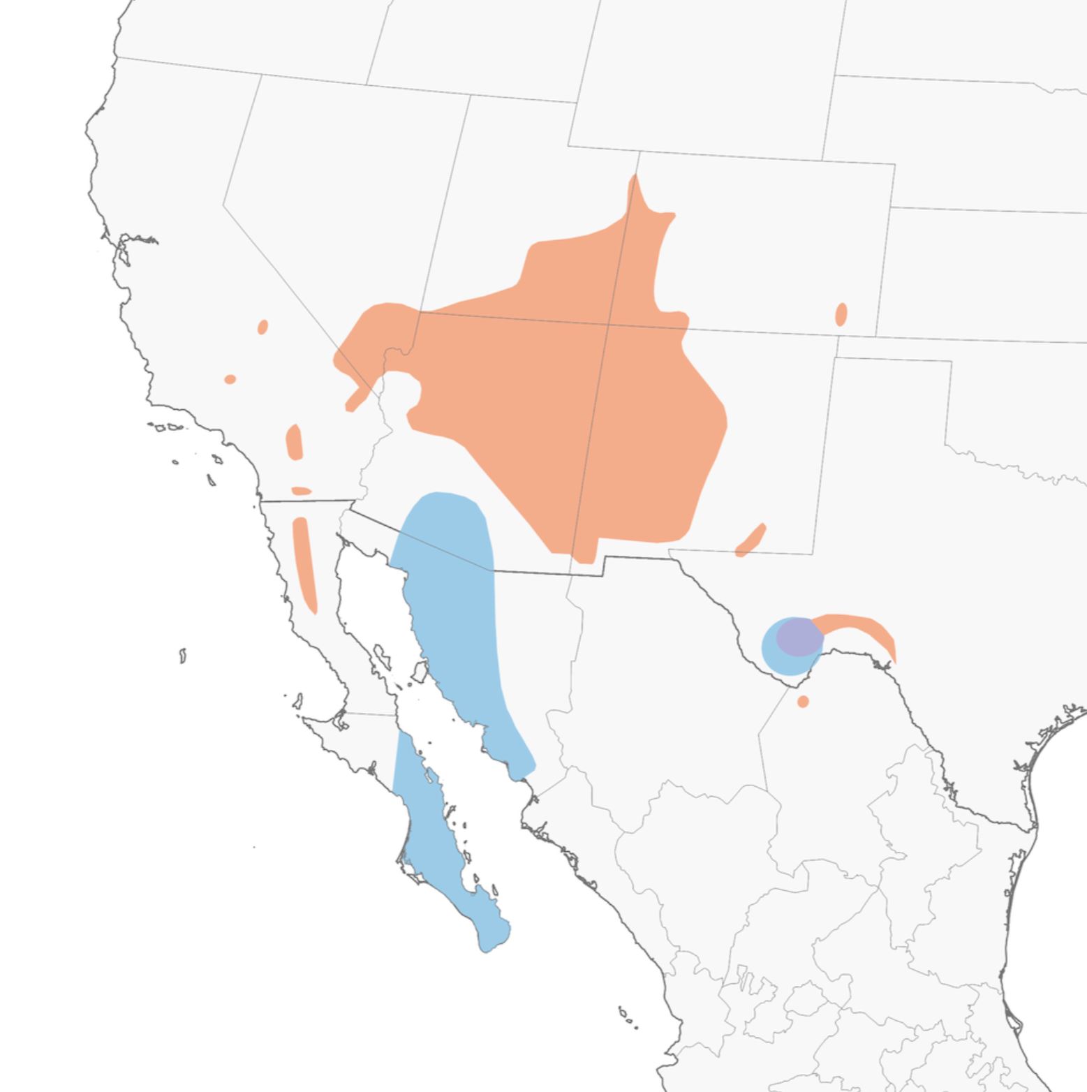 Range Map for Gray Vireo