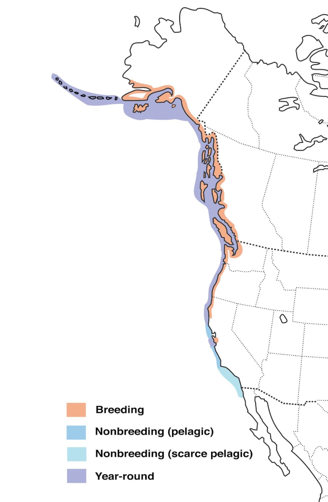 Range Map for Marbled Murrelet