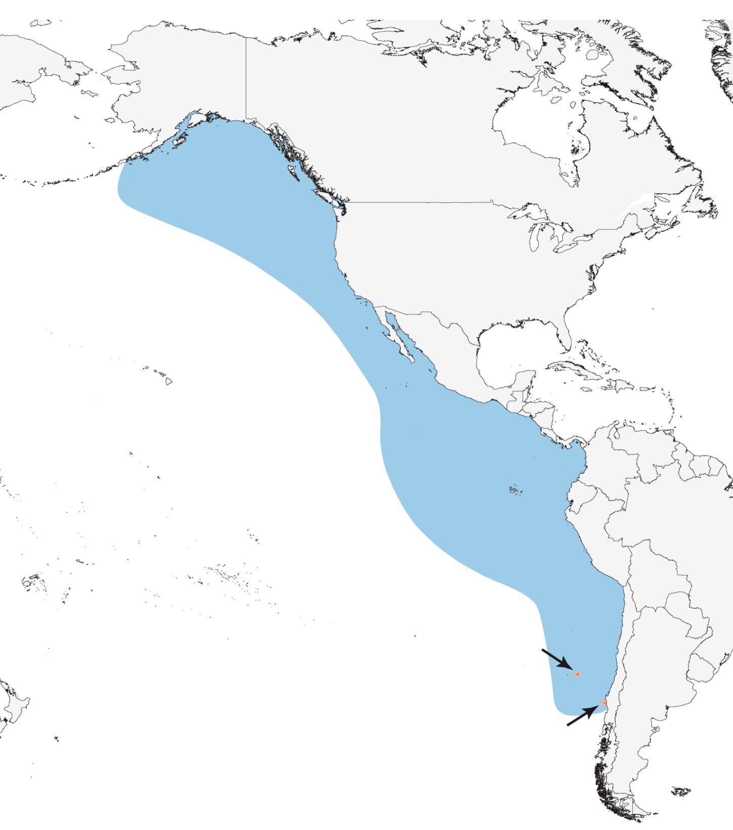 Range Map for Pink-Footed Shearwater