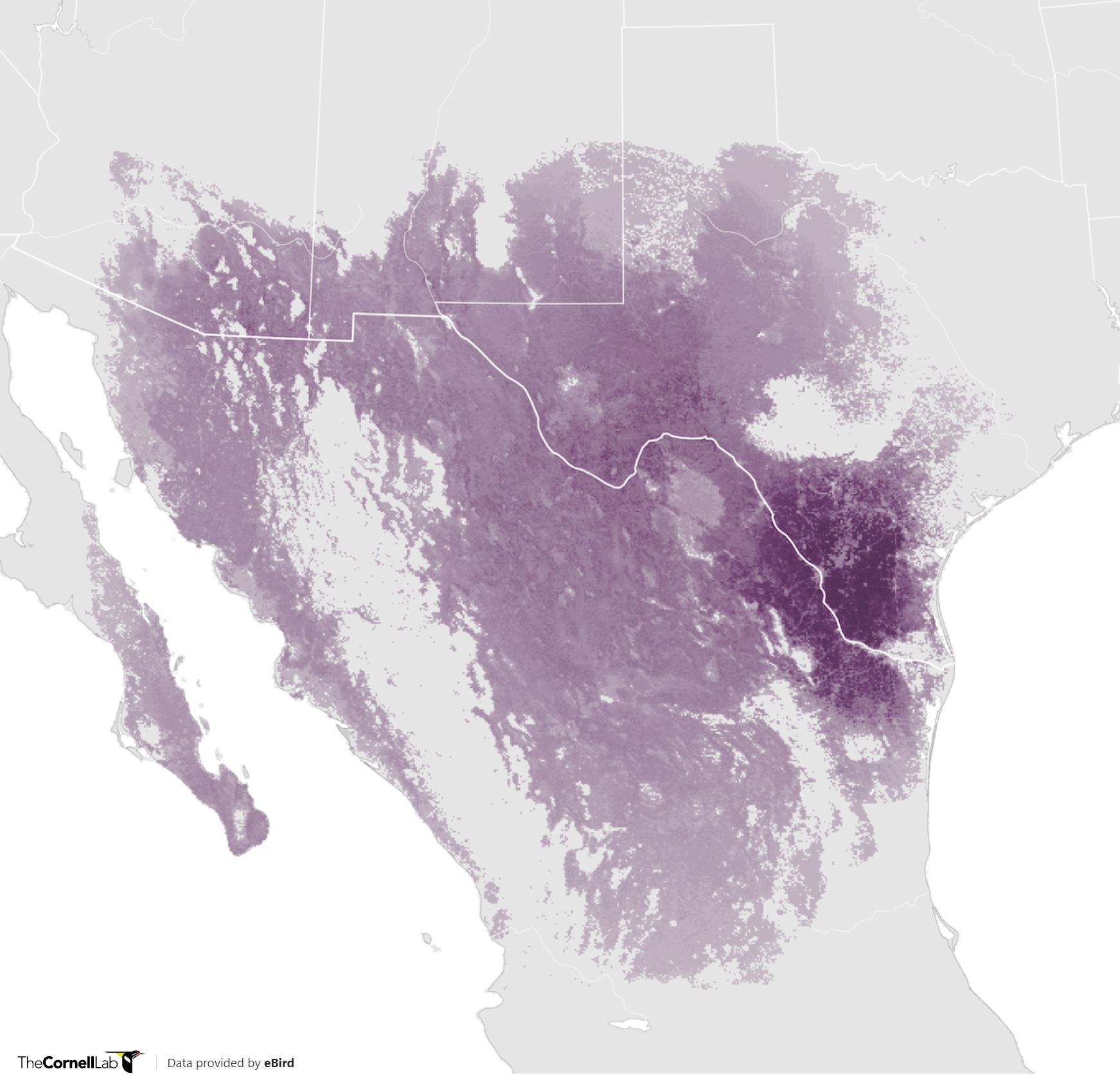 Range Map for Pyrrhuloxia