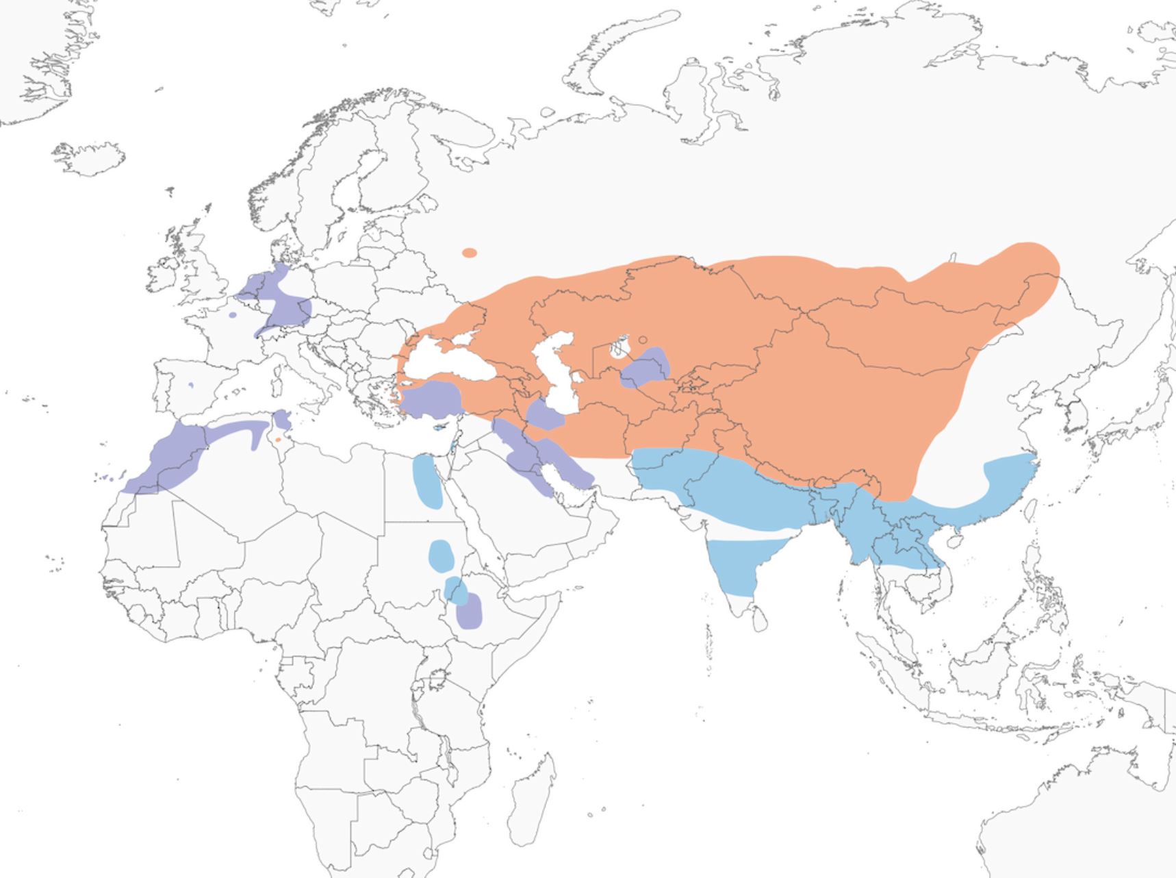 Range Map for Ruddy Shelduck
