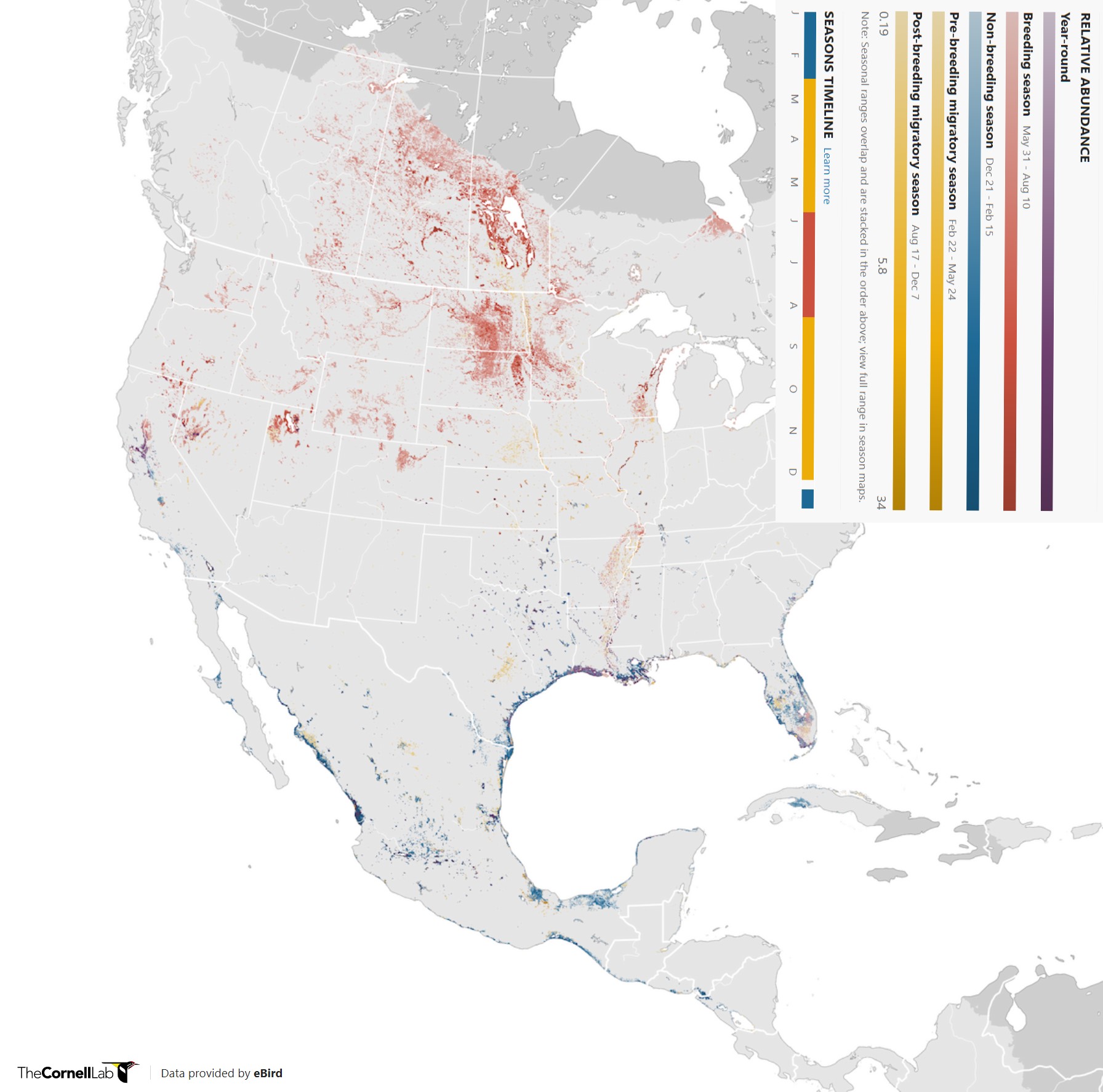 Range Map for American White Pelican