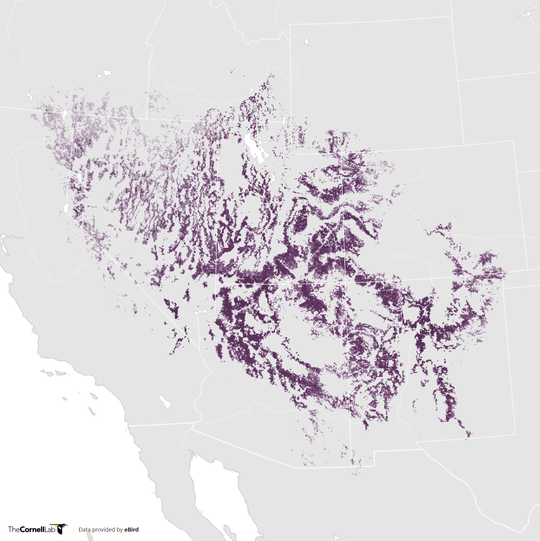 Range Map for Juniper Titmouse