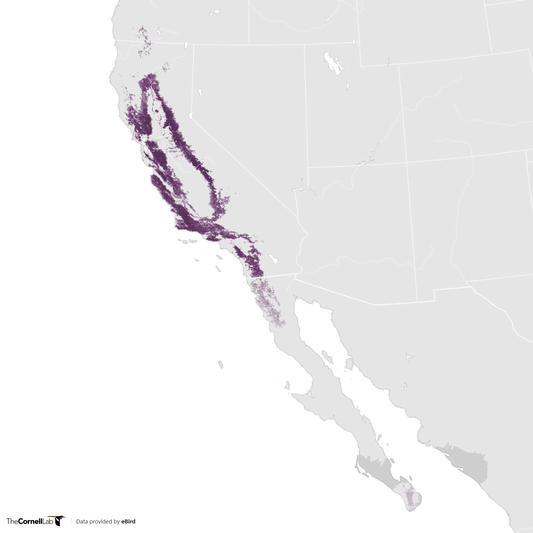 Range Map for Oak Titmouse