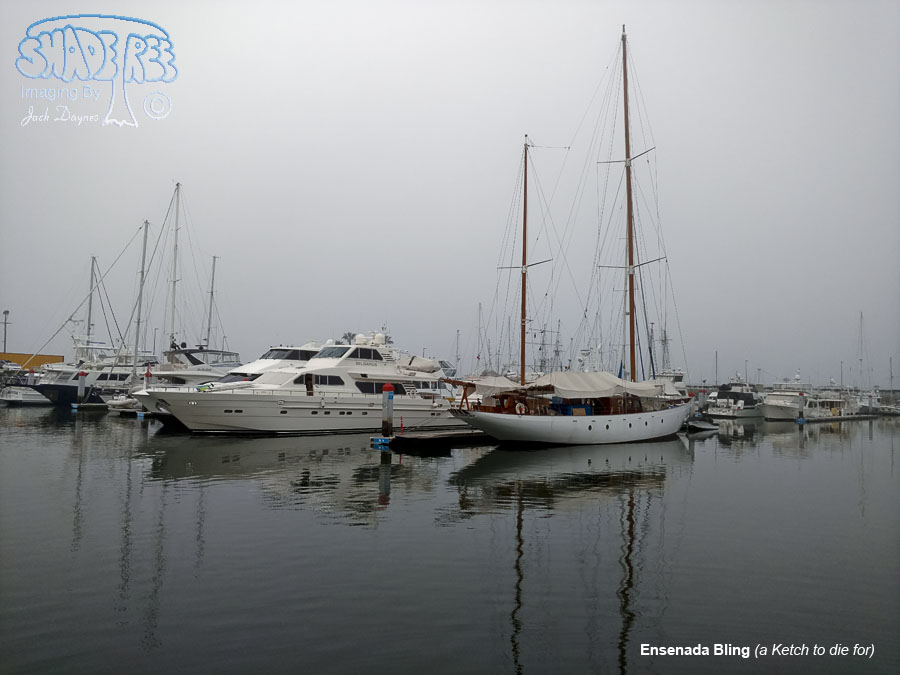 Ensenada Bling - n/a