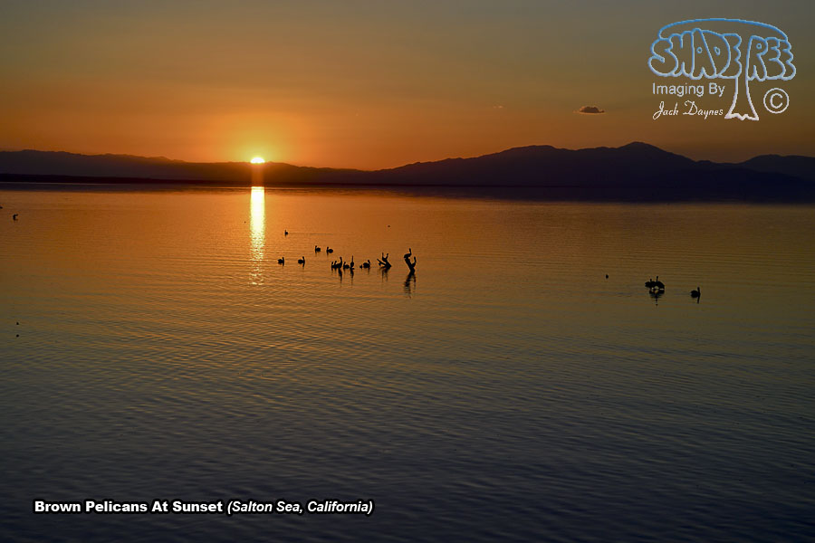 Salton Sea Sunset - Scenery