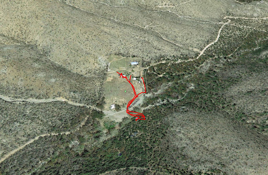 Tracks around the guest ranch