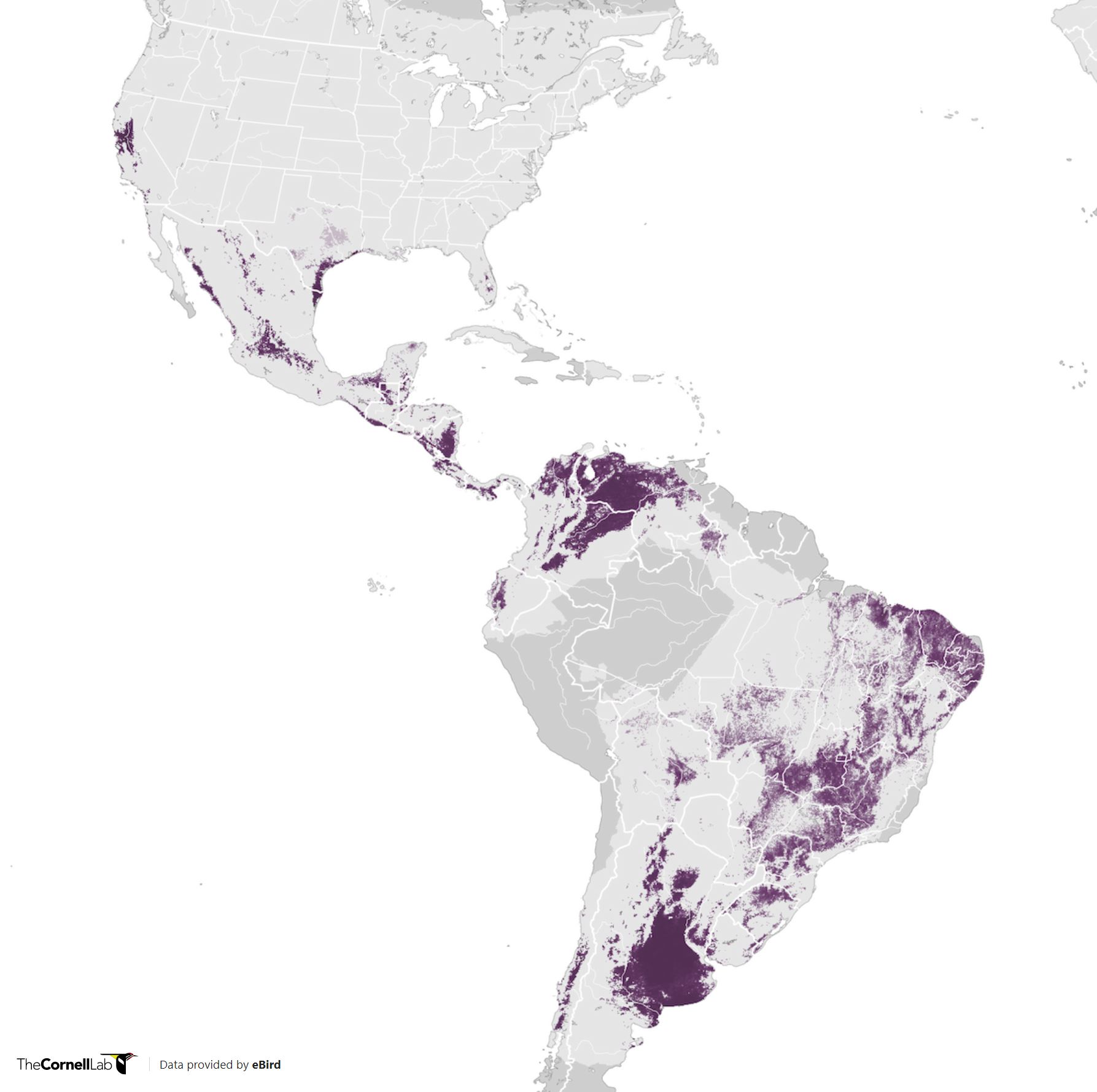 Range Map for White-Tailed Kite