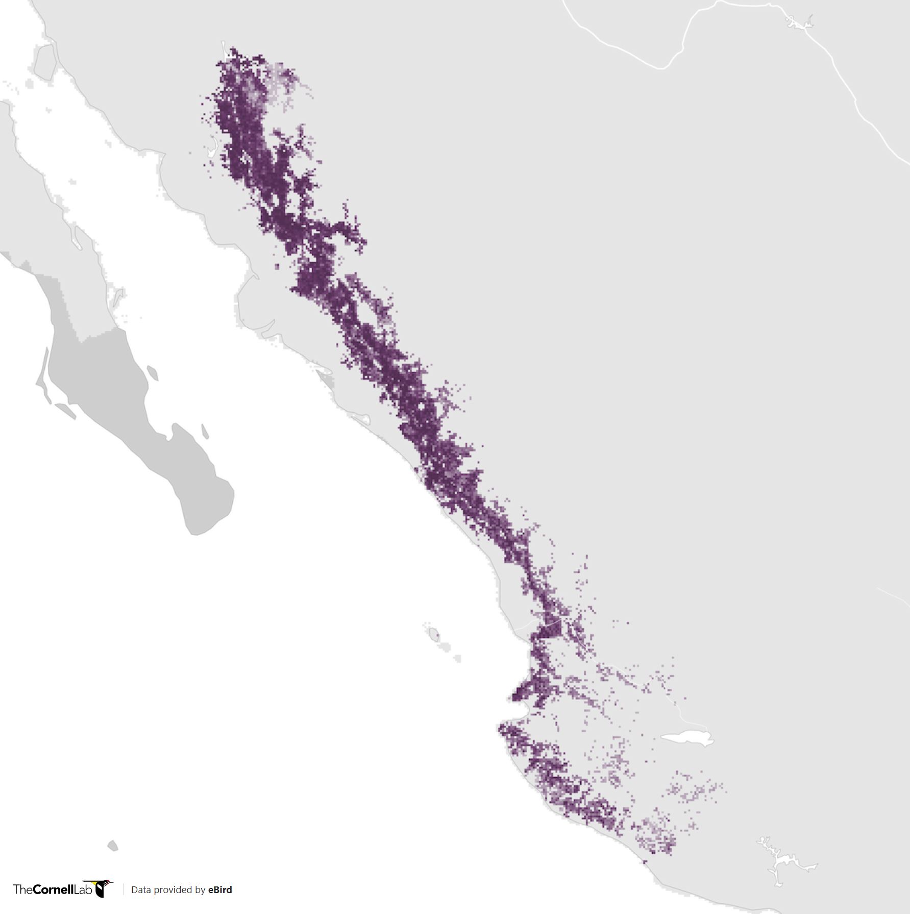 Range Map for Black-Throated Magpie-Jay