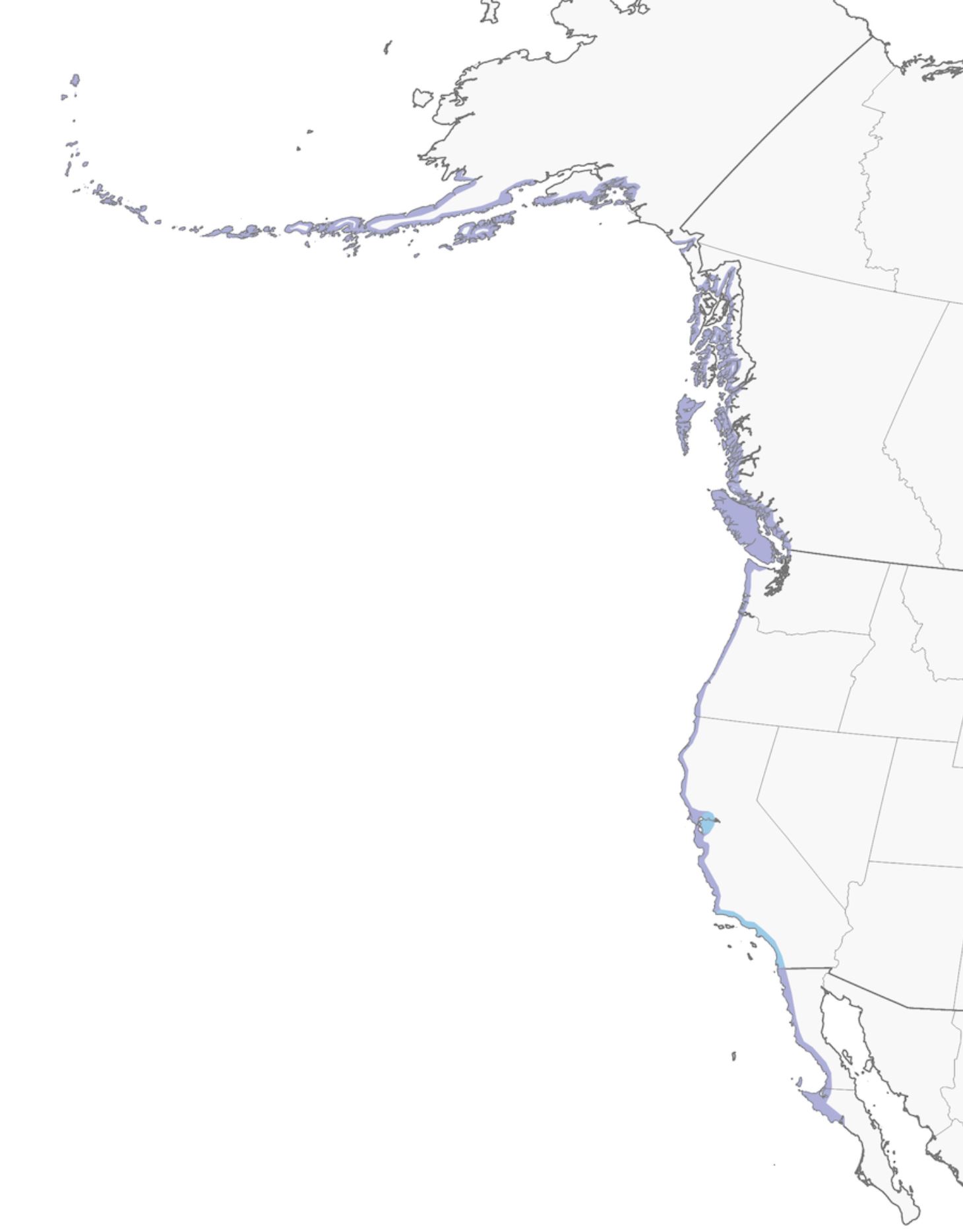 Range Map for Oystercatcher – Black