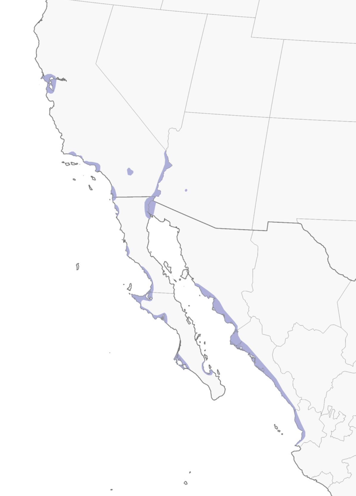 Range Map for Ridgway’s Rail