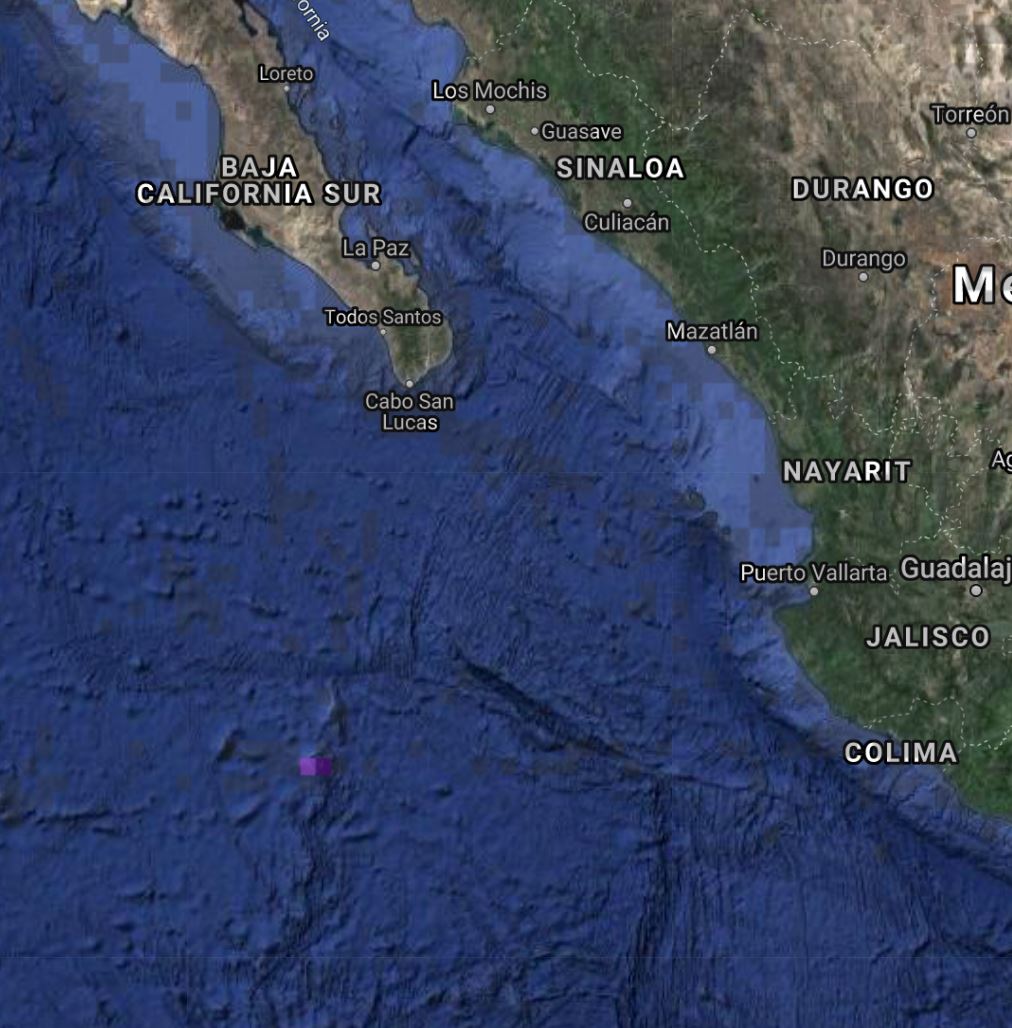 Range Map for Socorro Towhee