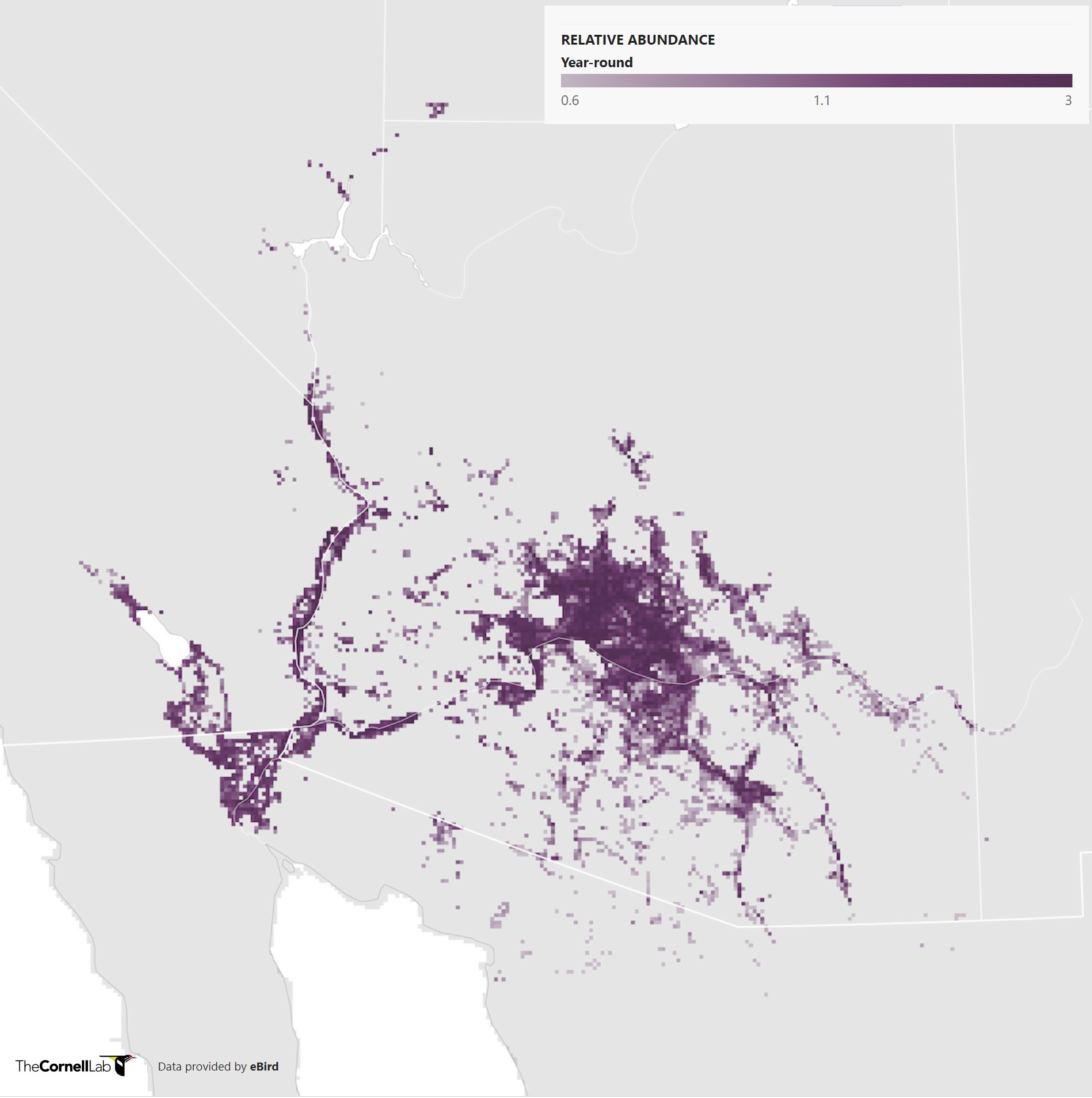 Range Map for Abert’s Towhee