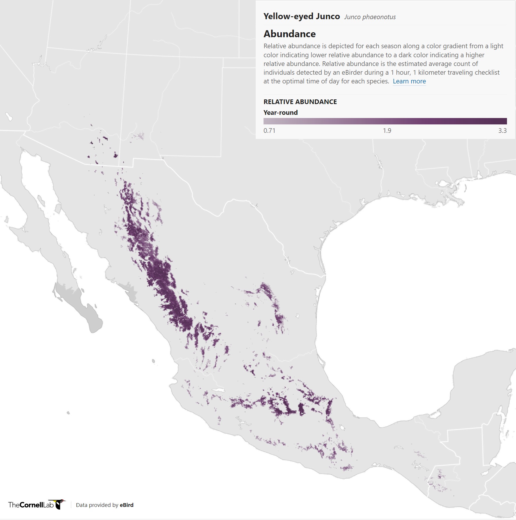 Range Map for Yellow-Eyed Junco