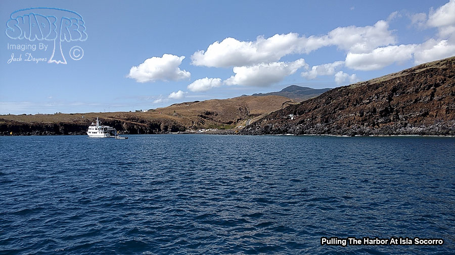 Pulling The Harbor - Isla Socorro