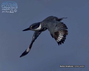 2017-09-20 Santa Barbara and Home