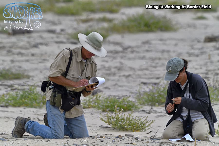Biologists At Work - n/a