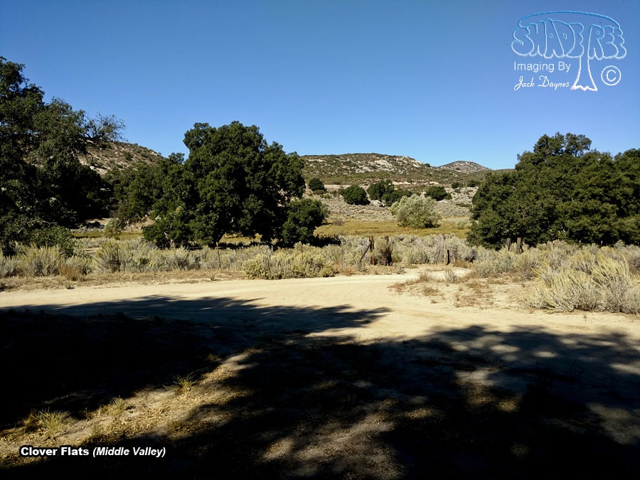 Clover Flats Campsite - Scenery
