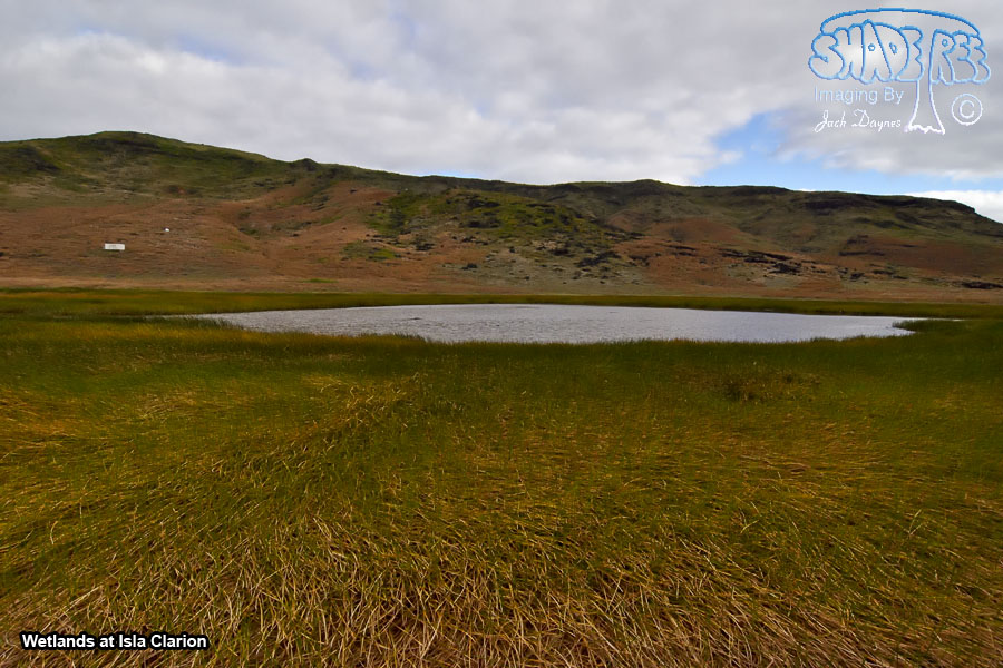Wetlands at Isla Clarion - Scenery