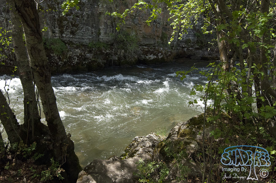 Logan River - n/a