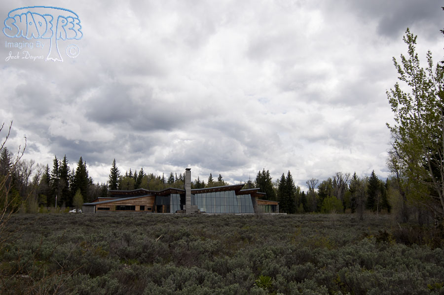Moose Wyoming - n/a