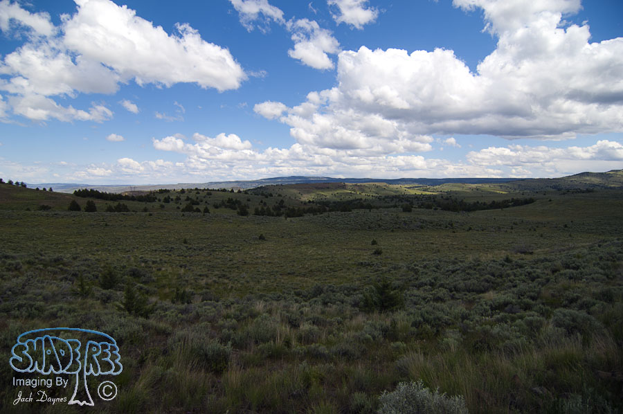 Back Country Vista - n/a
