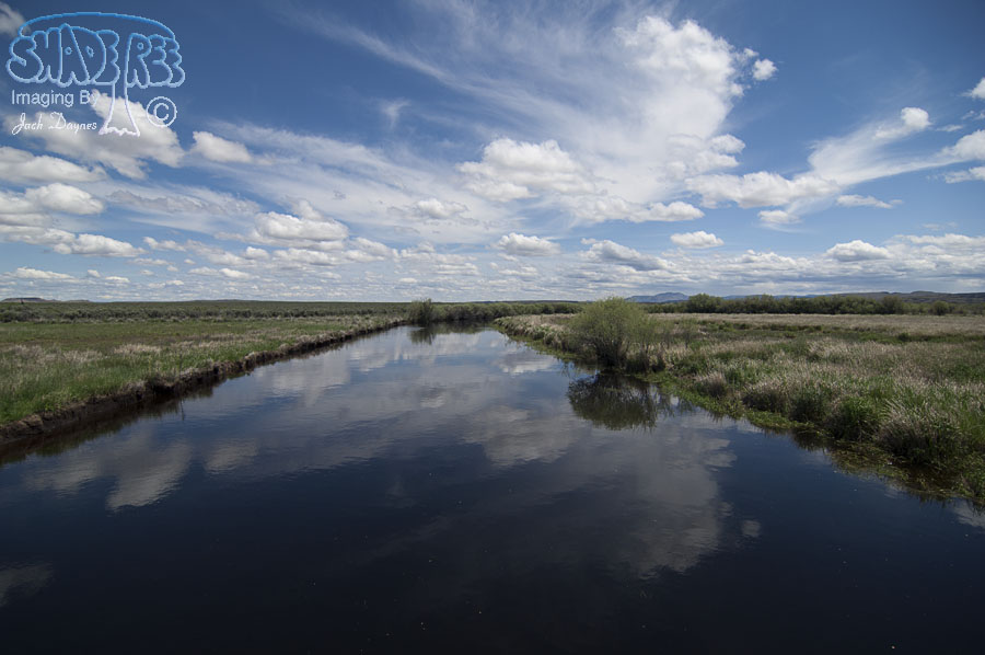 Marshlands - Scenery
