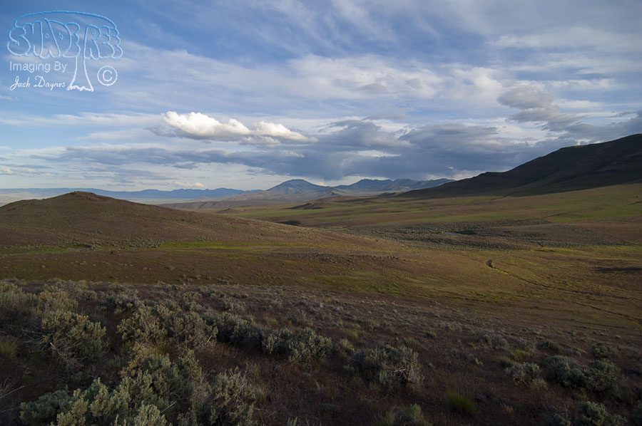 Long Hollow Summit - n/a
