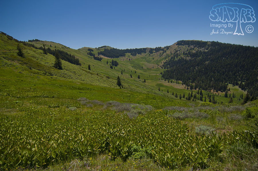 Alpine Views - n/a