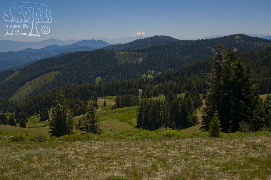 Alpine Views - n/a