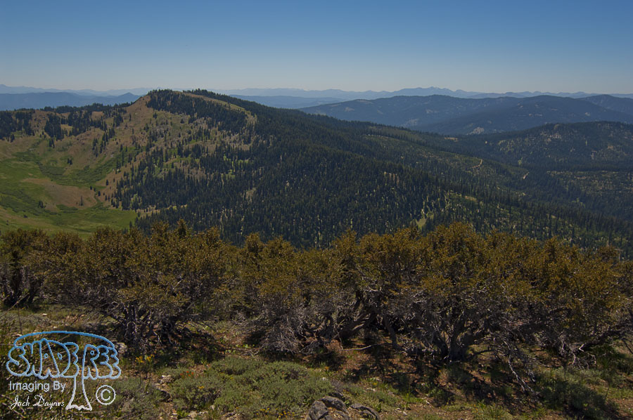 View From Dutchman Peak - n/a