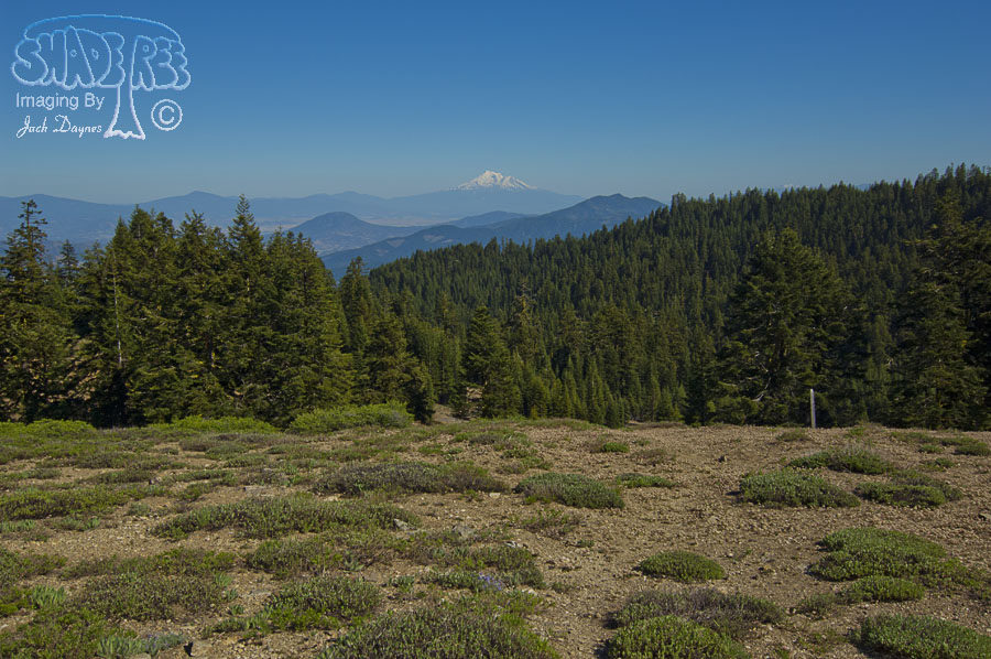 View From Mount Ashland - n/a