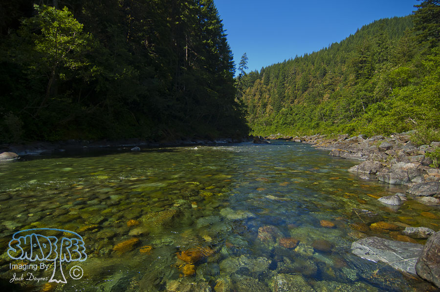 Scenery On The Smith River - n/a