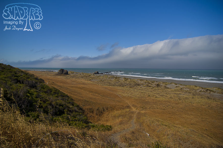 Scenery - Mattole Road