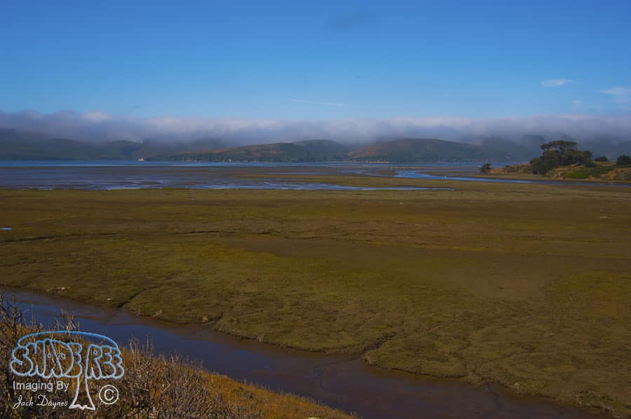 Scenery - Tomales Bay