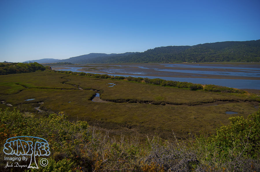 Scenery - Tomales Bay