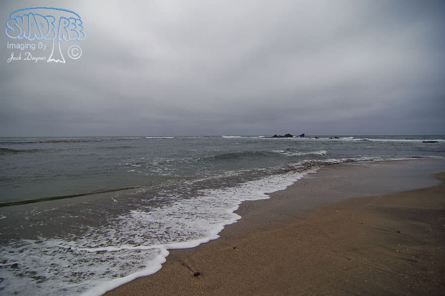 Scenery - Maverick Beach