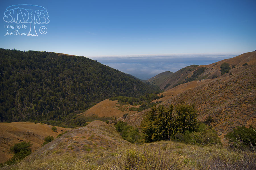 Scenery - Nacimiento-Fergusson Road