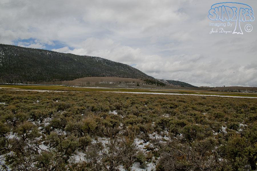 Fish Lake Scenery - n/a