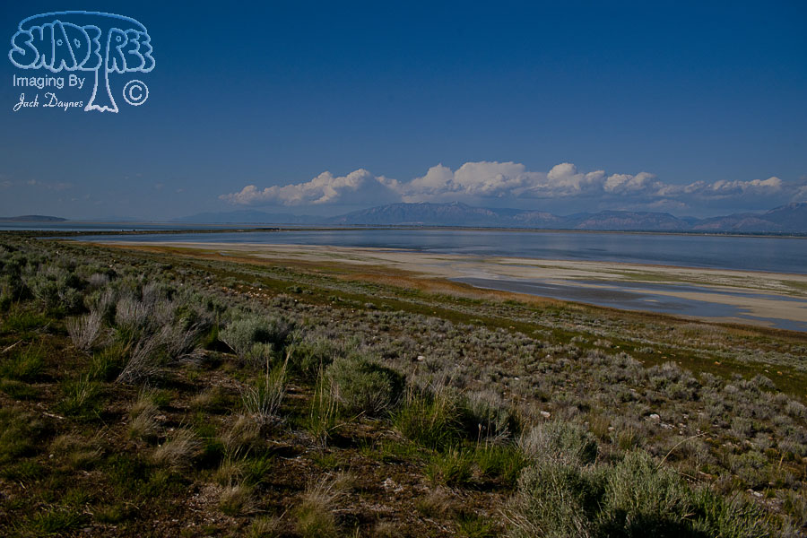Scenery at Antelope Island - n/a