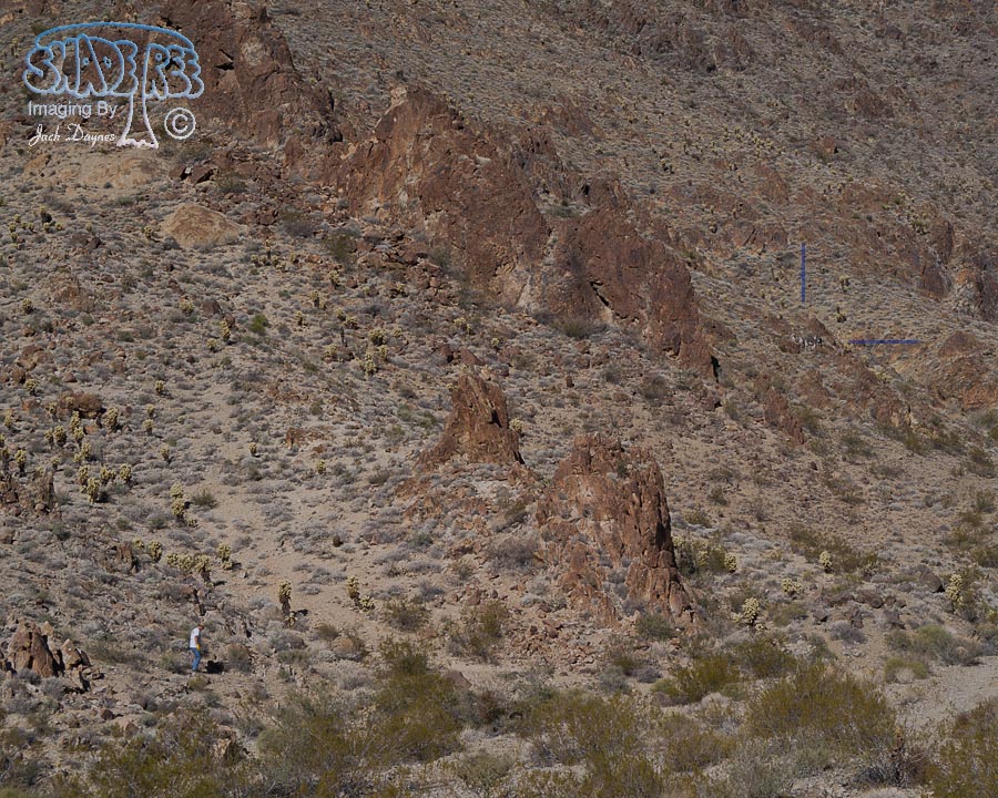 Desert Scenery - n/a