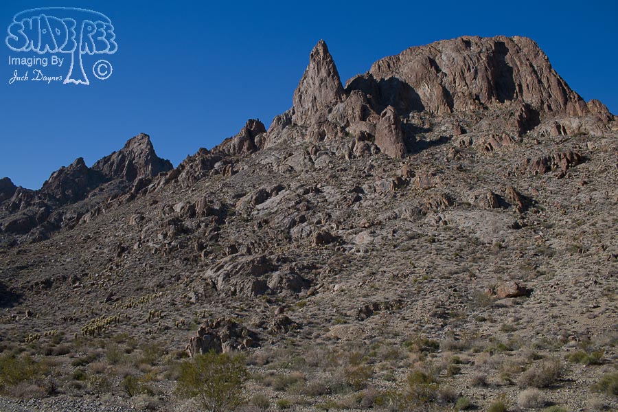Desert Scenery - n/a