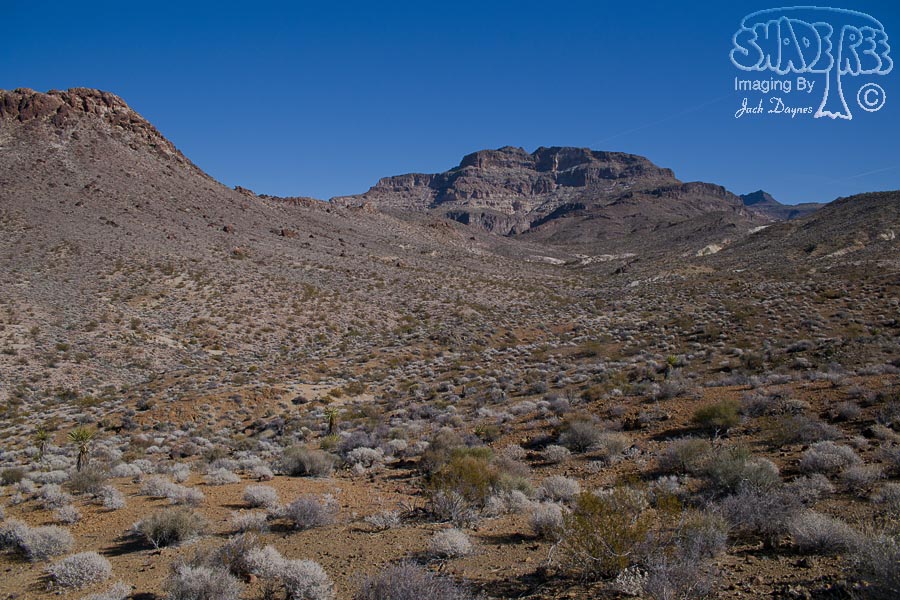 Desert Scenery - n/a
