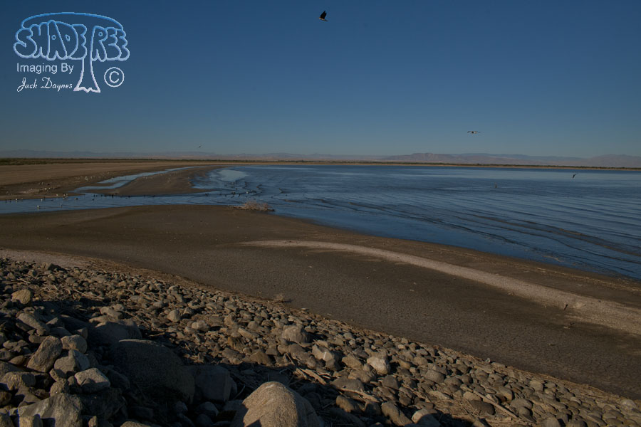 Salton Sea Shoreline - n/a