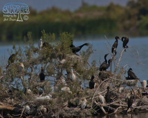 2015-04-28 Ramer Lake